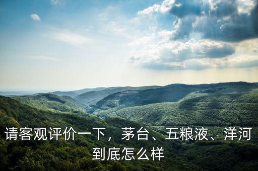 請客觀評價一下，茅臺、五糧液、洋河到底怎么樣