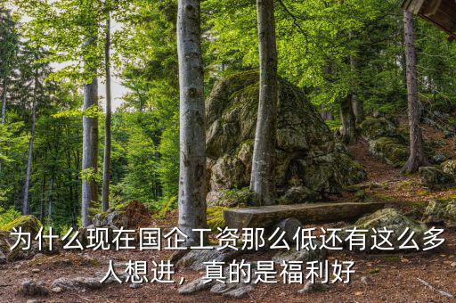 為什么現(xiàn)在國企工資那么低還有這么多人想進(jìn)，真的是福利好