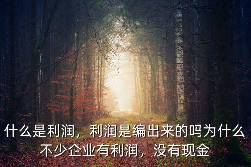 什么是利潤，利潤是編出來的嗎為什么不少企業(yè)有利潤，沒有現(xiàn)金