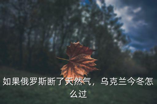 如果俄羅斯斷了天然氣，烏克蘭今冬怎么過