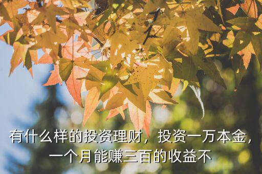 有什么樣的投資理財(cái)，投資一萬本金，一個(gè)月能賺三百的收益不