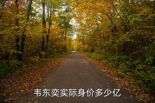 韋東奕實(shí)際身價多少億