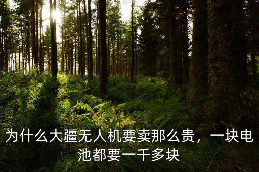 為什么大疆無人機要賣那么貴，一塊電池都要一千多塊