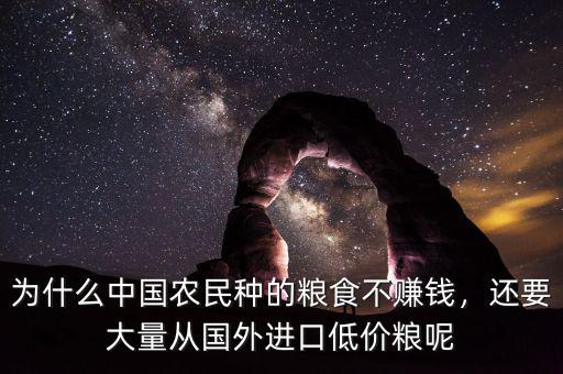 為什么中國農(nóng)民種的糧食不賺錢，還要大量從國外進(jìn)口低價(jià)糧呢