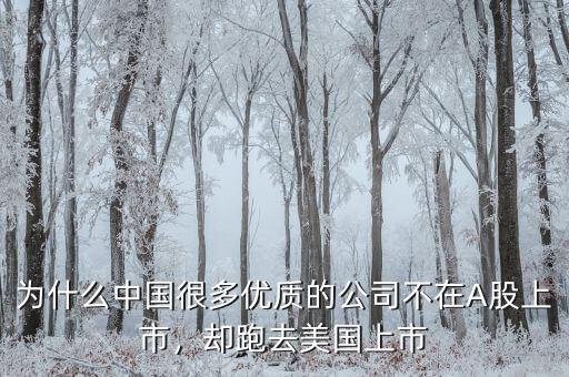 不盈利為什么能在美國(guó)上市,卻在美國(guó)上市。為什么