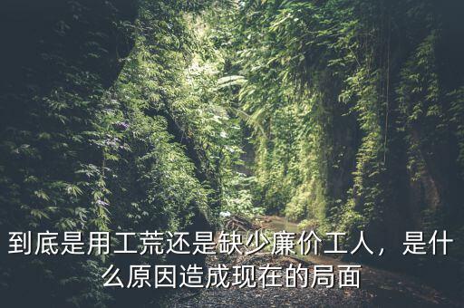 到底是用工荒還是缺少廉價工人，是什么原因造成現(xiàn)在的局面