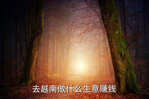 到越南能做什么生意,去越南做什么生意賺錢(qián)