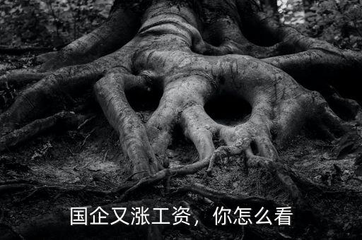國企又漲工資，你怎么看