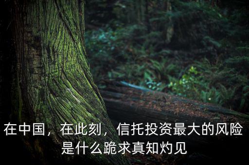 在中國，在此刻，信托投資最大的風險是什么跪求真知灼見
