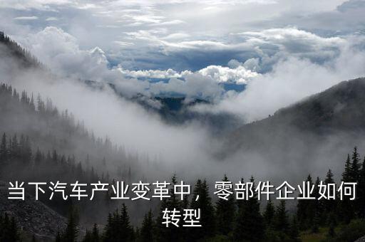 當(dāng)下汽車產(chǎn)業(yè)變革中，零部件企業(yè)如何轉(zhuǎn)型