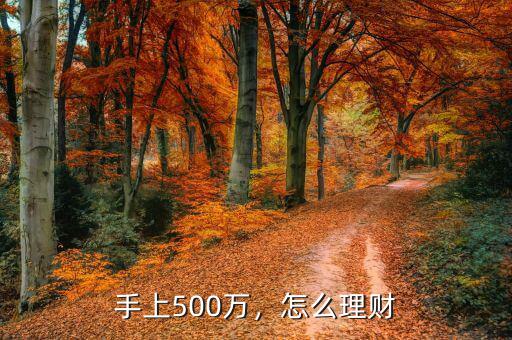 手上500萬(wàn)，怎么理財(cái)