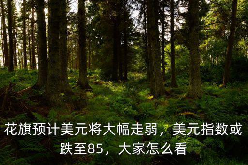花旗預(yù)計(jì)美元將大幅走弱，美元指數(shù)或跌至85，大家怎么看