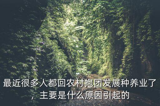最近很多人都回農(nóng)村抱團(tuán)發(fā)展種養(yǎng)業(yè)了，主要是什么原因引起的