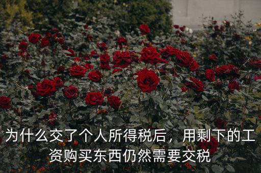 為什么交了個(gè)人所得稅后，用剩下的工資購買東西仍然需要交稅
