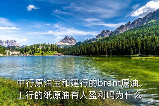 中行原油寶和建行的brent原油，工行的紙?jiān)陀腥擞麊釣槭裁? class=