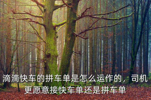 滴滴拼車(chē)怎么樣,滴滴出行的拼車(chē)單