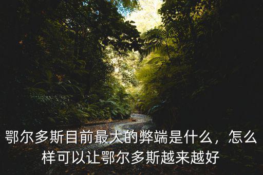 鄂爾多斯目前最大的弊端是什么，怎么樣可以讓鄂爾多斯越來(lái)越好