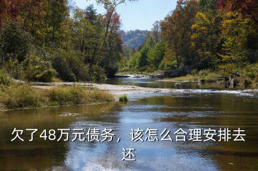 欠了48萬元債務(wù)，該怎么合理安排去還
