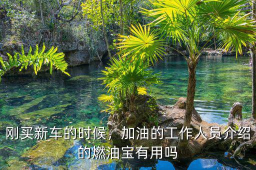 剛買新車的時(shí)候，加油的工作人員介紹的燃油寶有用嗎