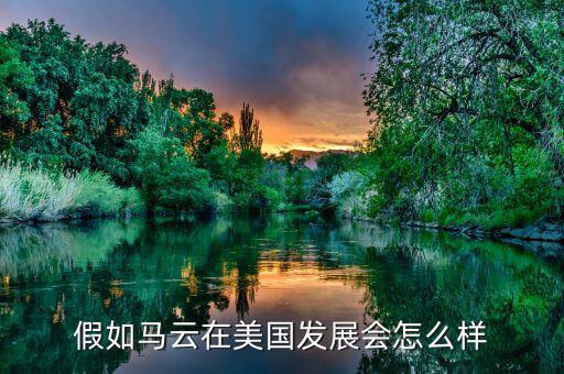 假如馬云在美國發(fā)展會(huì)怎么樣