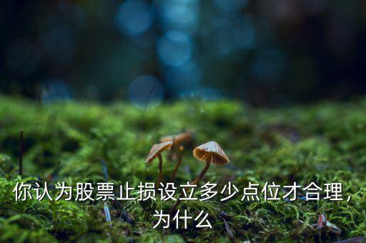 你認為股票止損設(shè)立多少點位才合理，為什么
