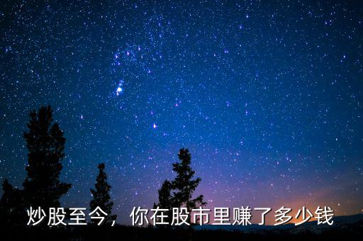 炒股至今，你在股市里賺了多少錢