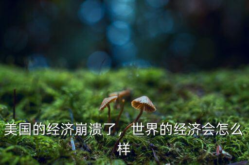 美國的經(jīng)濟崩潰了，世界的經(jīng)濟會怎么樣