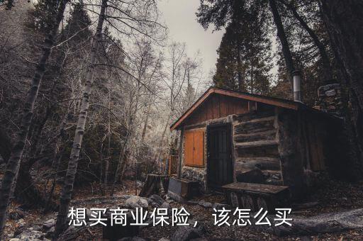 想買商業(yè)保險，該怎么買