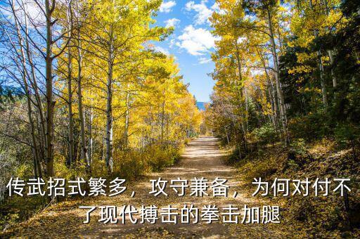 傳武招式繁多，攻守兼?zhèn)洌瑸楹螌Ω恫涣爽F(xiàn)代搏擊的拳擊加腿