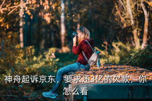 神舟起訴京東，要求還3億的欠款，你怎么看