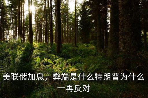 美聯(lián)儲(chǔ)加息，弊端是什么特朗普為什么一再反對(duì)
