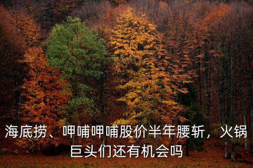 海底撈、呷哺呷哺股價半年腰斬，火鍋巨頭們還有機會嗎