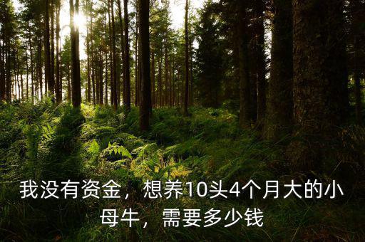 我沒有資金，想養(yǎng)10頭4個月大的小母牛，需要多少錢