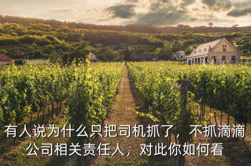 有人說為什么只把司機抓了，不抓滴滴公司相關責任人，對此你如何看