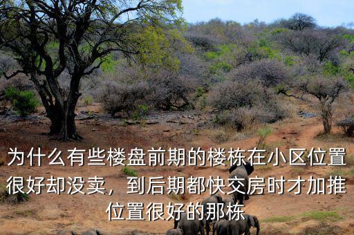 為什么有些樓盤前期的樓棟在小區(qū)位置很好卻沒賣，到后期都快交房時才加推位置很好的那棟