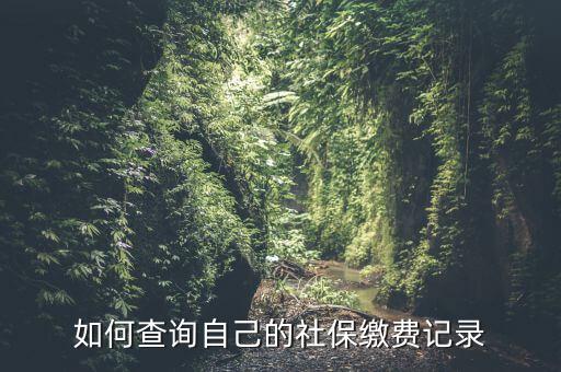 怎么查自己的社保繳納情況,如何查詢(xún)自己的社保繳費(fèi)記錄