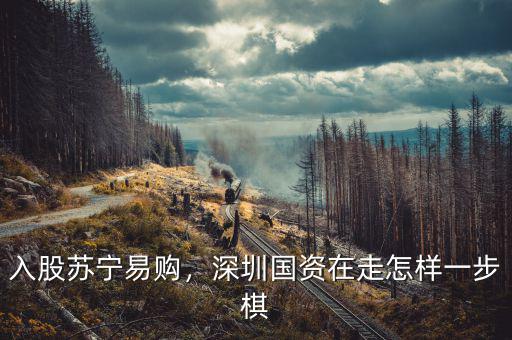 入股蘇寧易購，深圳國資在走怎樣一步棋