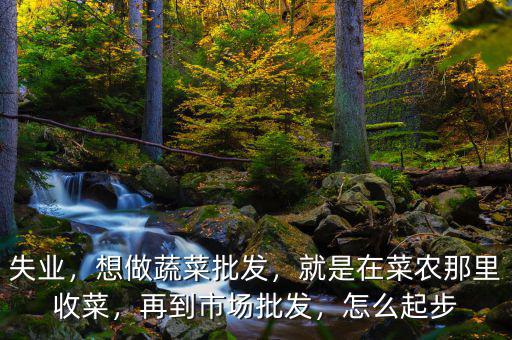失業(yè)，想做蔬菜批發(fā)，就是在菜農(nóng)那里收菜，再到市場批發(fā)，怎么起步
