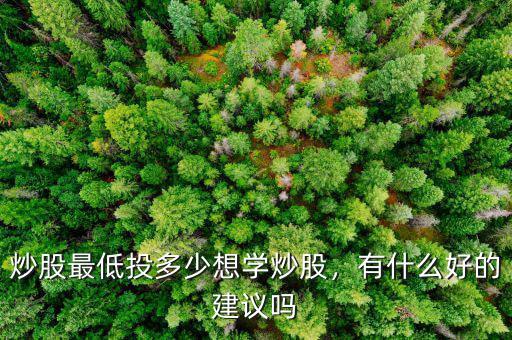 炒股最低投多少想學(xué)炒股，有什么好的建議嗎