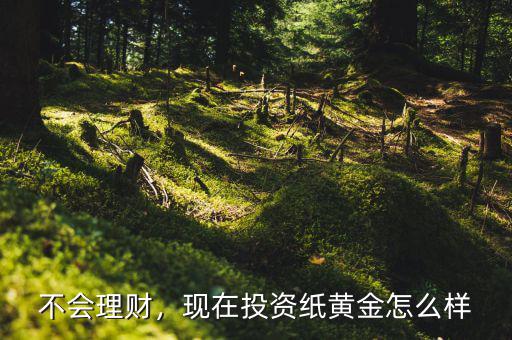 不會(huì)理財(cái)，現(xiàn)在投資紙黃金怎么樣