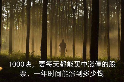 1000塊，要每天都能買中漲停的股票，一年時(shí)間能漲到多少錢