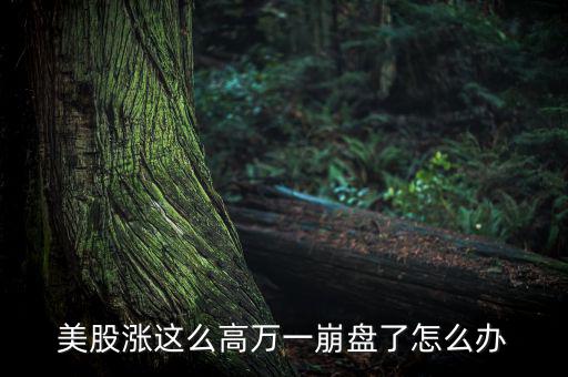 美股漲這么高萬(wàn)一崩盤(pán)了怎么辦