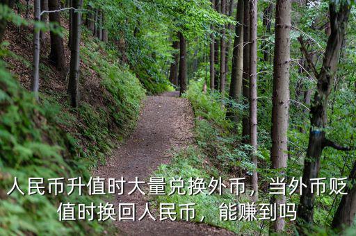 人民幣升值時大量兌換外幣，當(dāng)外幣貶值時換回人民幣，能賺到嗎