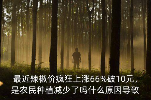 最近辣椒價瘋狂上漲66%破10元，是農(nóng)民種植減少了嗎什么原因?qū)е? class=