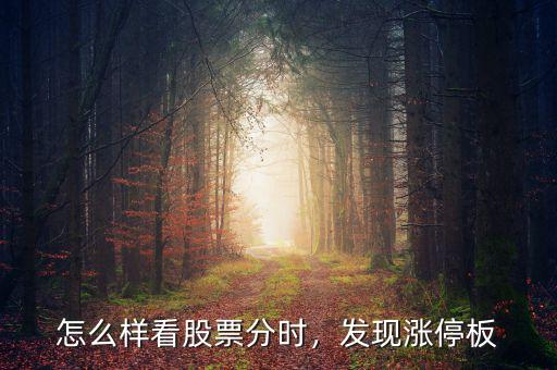 怎么樣看股票分時，發(fā)現(xiàn)漲停板