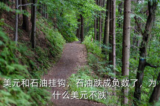 美元和石油掛鉤，石油跌成負(fù)數(shù)了，為什么美元不跌