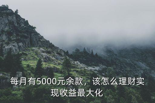 每月有5000元余款，該怎么理財實現(xiàn)收益最大化