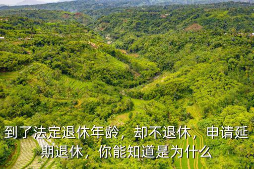 到了法定退休年齡，卻不退休，申請(qǐng)延期退休，你能知道是為什么