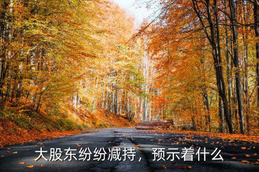 大股東紛紛減持，預示著什么