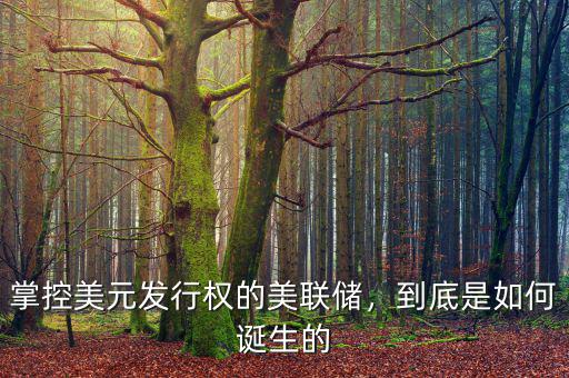 掌控美元發(fā)行權(quán)的美聯(lián)儲(chǔ)，到底是如何誕生的